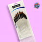 12-Piece Professional Paint Brush Set – Perfect for Every Artist! 🖌️