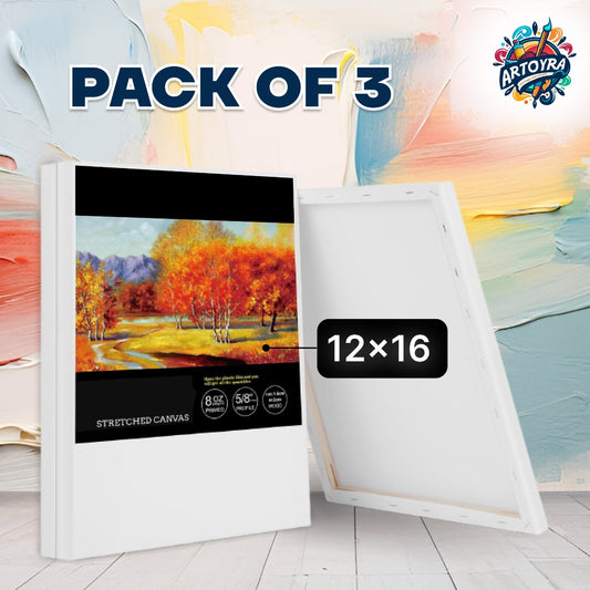 Pack of 3 Stretched Canvases – Ideal for Artists & Hobbyists! 🖌️
